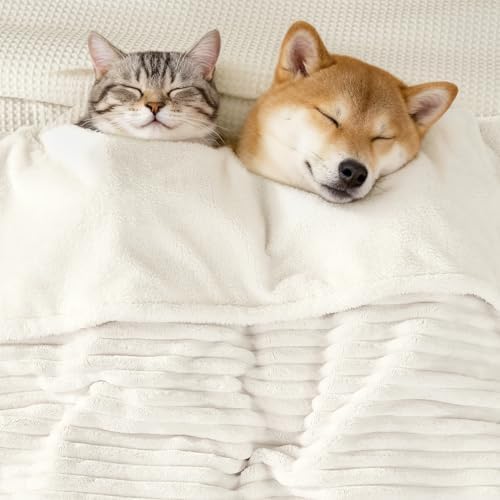 Waterproof Twin Blanket for Bed - Washable Large Dog Blankets for Bed Protector, Thick Cozy Fleece Calming Pet Blankets for Indoors & Outdoors, Cream, 60"x80" - Image 2
