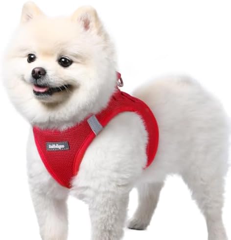 rabbitgoo Step-in Small Dog Harness, Puppy Vest for Small Sized Pet by rabbitgoo