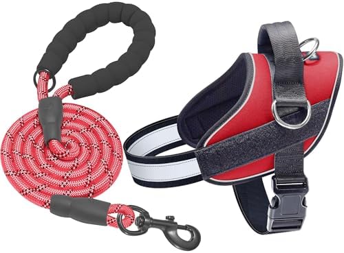 Haapaw Essential Dog Harness, No Pull Pet Vest with 3 Leash Clips, No Choke, Reflective, Adjustable and Padded, for Easy Walking and Training for Small Dogs(S, Red) by haapaw