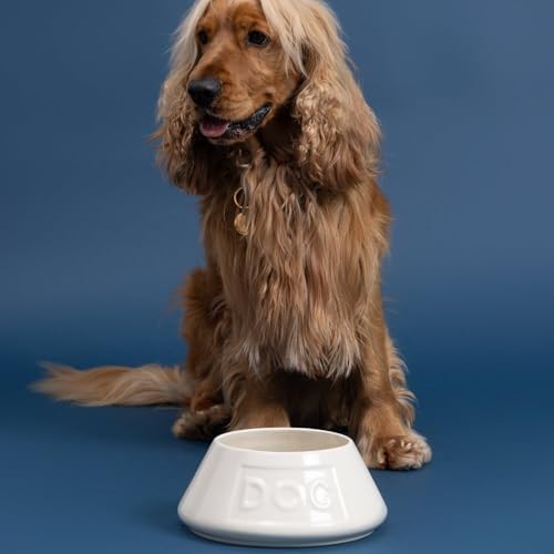 Mason Cash Non-Tip Dog Bowl - 21 cm, 1.6 L Cream Ceramic Food & Water Dish - Image 6