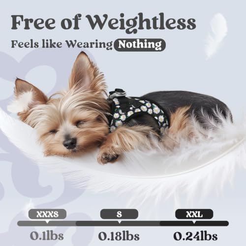 rabbitgoo Step-in Small Dog Harness, Puppy Vest for Small Sized Pet - Image 4