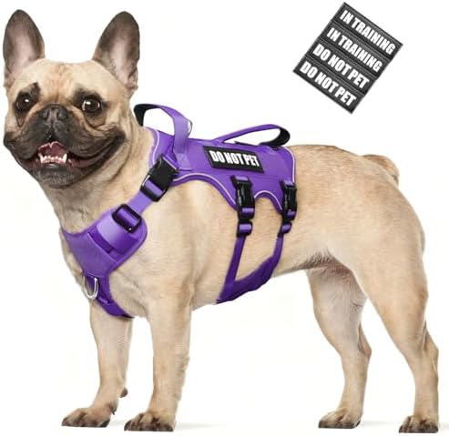 WINSEE Escape Proof Dog Harness with Double Handle+4 Removable Patches by WINSEE