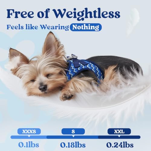 rabbitgoo Step-in Small Dog Harness, Puppy Vest for Small Medium Sized Pet - Image 5