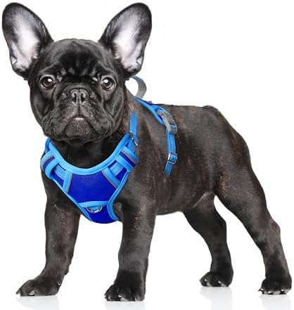 BARKBAY Dog Harness for Small Sized Dog No Pull Dog Vest ID Tag Pocket by BARKBAY
