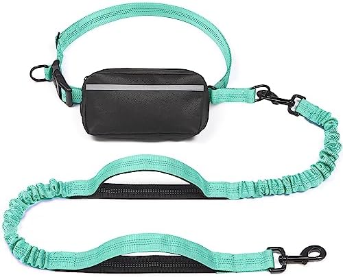 iYoShop Hands Free Dog Leash with Zipper Pouch, Large, 25-120 lbs, Teal by iYoShop
