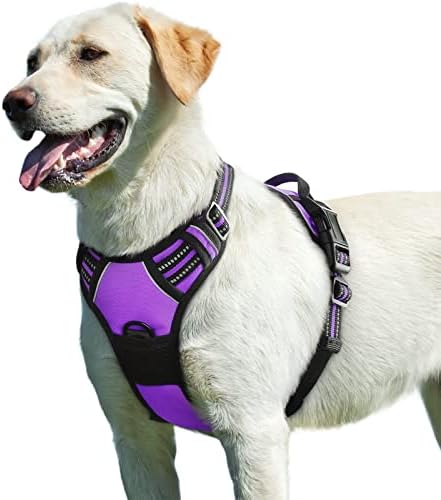Eagloo Dog Harness for Large Dogs, No Pull Pet Vest with 2 Leash Clips by GoExplorewithEagloo
