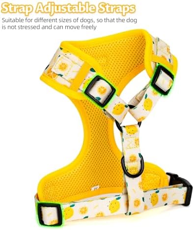 Dog Harness and Leash Set, Adjustable Dog Harness, Dog Leash, No Pull No Choke Puppy Harnesses for Walking Training for Small Medium Pet - Image 2