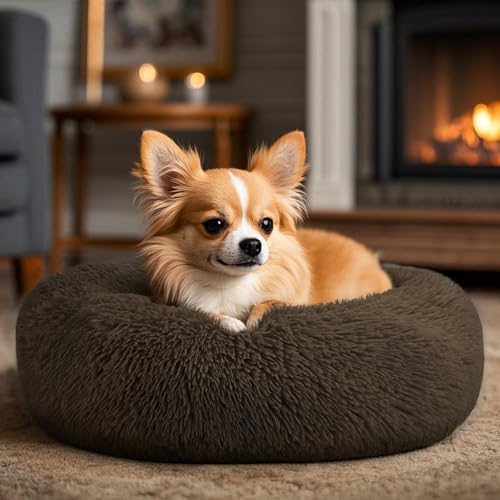 Hoewina Dog & Cat Bed, 20in Cat Beds for Indoor Cats (Coffee) - Image 5