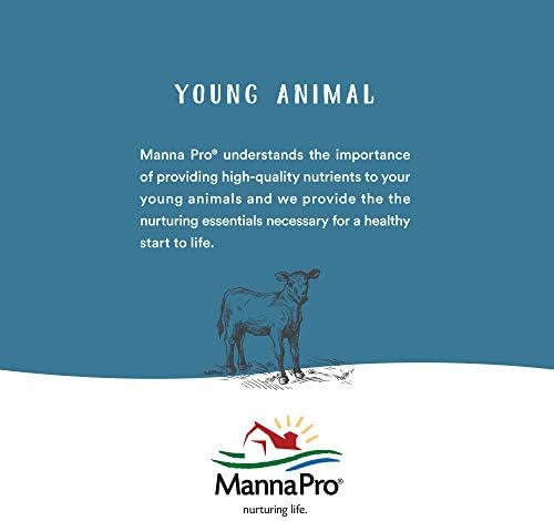 Manna Pro Bounce Back Supplement | Multi-Species Electrolyte | 4 oz - Image 4