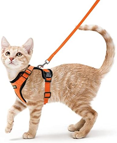 rabbitgoo Cat Harness and Leash Set, Escape Proof Vest, Orange by rabbitgoo