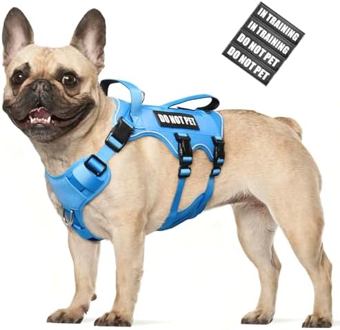 WINSEE Escape Proof Dog Harness with Double Handle+4 Removable Patches by WINSEE