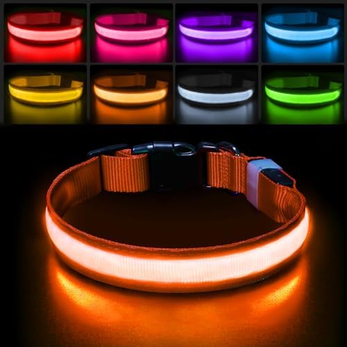PcEoTllar Light up Dog Collar, for Night Walking, Adjustable, Orange, L by PcEoTllarPetSupplies