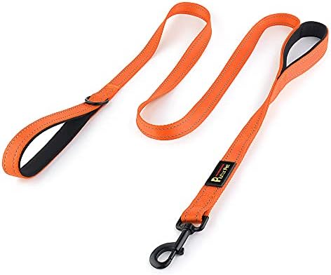 Plutus Pet Double Handle Dog Leash, 6 FT Long, for Medium Large Dogs by PLUTUSPET