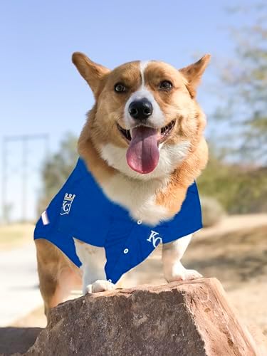 Official MLB Kansas City Royals Pet Jersey for Dogs & Cats, Size Small - Stylish Baseball Jersey for Your Furry Fan- Show Off Team Spirit with The Perfect Fan Apparel Gear for Pet, Dog & Cat - Image 4