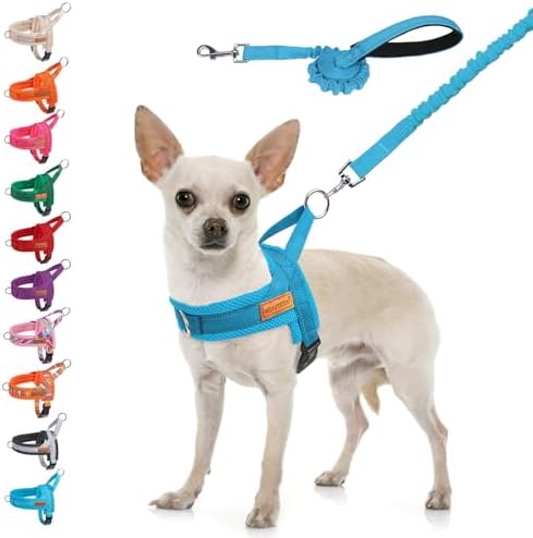BEAUTYZOO Small Dog Harness and Leash Set, No Pull Step in Puppy Vest by BEAUTYZOO
