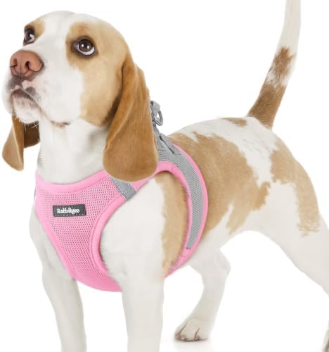 rabbitgoo Step-in Small Dog Harness, Puppy Vest for Small Sized Pet by rabbitgoo