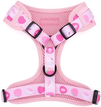 Dog Harness and Leash Set, Adjustable Dog Harness, Dog Leash, No Pull No Choke Puppy Harnesses for Walking Training for Small Medium Pet (Strawberries, L(Chest 18.5-27.1", Neck 14.5-20.1")) - Image 2