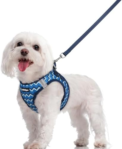 rabbitgoo Dog Harness Medium Sized and Leash Set, Step-in Puppy Pet Vest by rabbitgoo