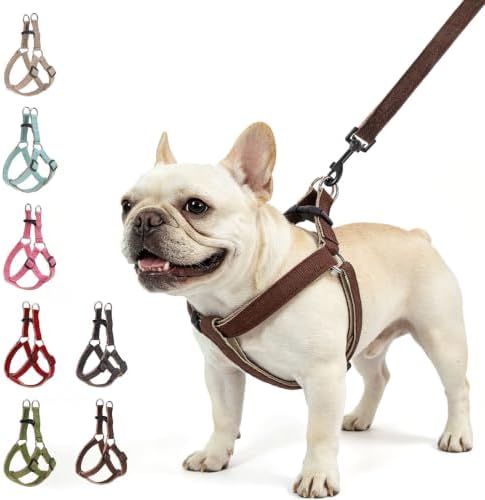 BEAUTYZOO Adjustable No Pull Dog Harness and Leash Set by BEAUTYZOO