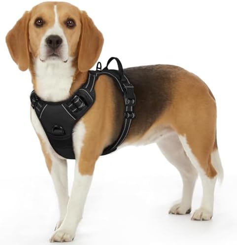 Eagloo Dog Harness for Small Dogs, No Pull Pet Vest with 2 Leash Clips by GoExplorewithEagloo