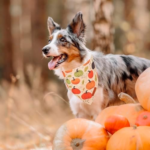ADOGGYGO Fall Dog Bandana, Pumpkin Maple Leaf Fall Bandana for Dog, X-Large - Image 3
