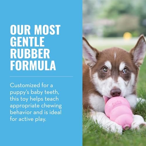KONG - Puppy Toy Natural Teething Rubber - Fun to Chew, Chase and Fetch - for Medium Puppies - Pink (Pack of 2) - Image 3