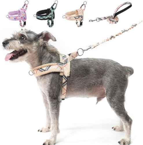 BEAUTYZOO No Pull Small Dog Harness and Leash Set, Soft Puppy Vest Harness with Handle Escape Proof & Easy Walk, Lightweight Dog Winter Harness Chest Adjustable for Girl Boy Dogs 11-24 lbs, Beige S by BEAUTYZOO