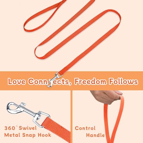 Small Dog Harness and Leash Set, Adjustable Small Sized Pet Vest - Image 6