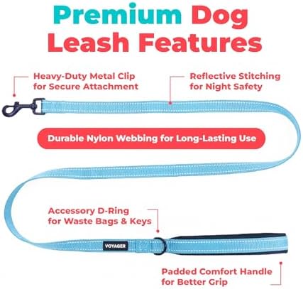 Best Pet Supplies Voyager Nylon Dog Leash - Baby Blue, Small - Image 2