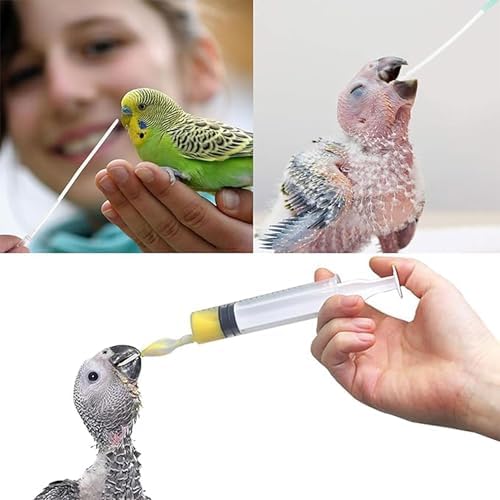 8 pcs Bird Feeding Syringe Set,Small Bird Pet Parrot Feeder Tubes - Image 4
