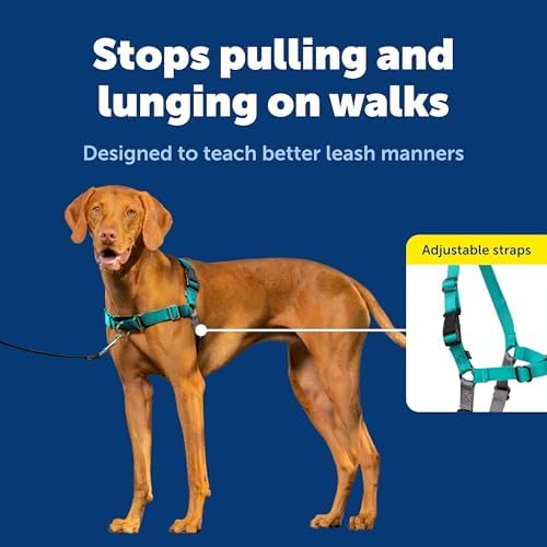 PetSafe Easy Walk Harness, No Pull Dog Harness, Teal, Medium - Image 3