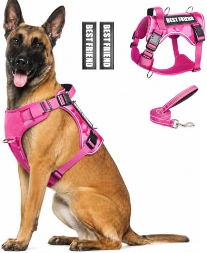 WINSEE No Pull Tactical Dog Harness with Leash Set with 2 Patches by WINSEE