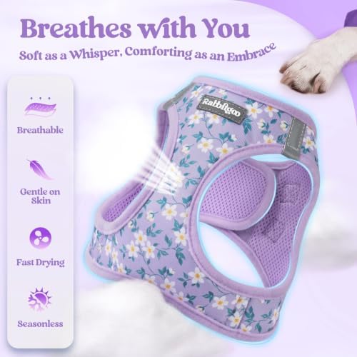 rabbitgoo Dog Harness Medium Sized and Leash Set, Step-in Puppy Pet Vest - Image 4