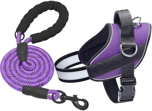 Haapaw Essential Dog Harness, No Pull Pet Vest with 3 Leash Clips, No Choke, Reflective, Adjustable and Padded, for Easy Walking and Training for Large Dogs(L, Purple) by haapaw