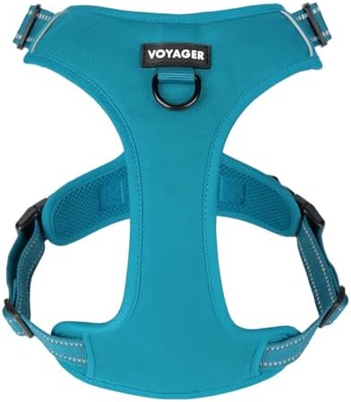 Voyager Dual Attachment No Pull Harness - Turquoise, Medium by BestPetSuppliesLLC