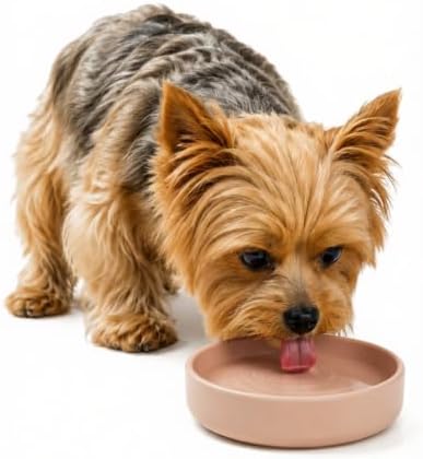 The Perfect Dish - Silicone Dog Bowl for Food & Water, 6" x 1.25"-Blush by ShouldWeGo