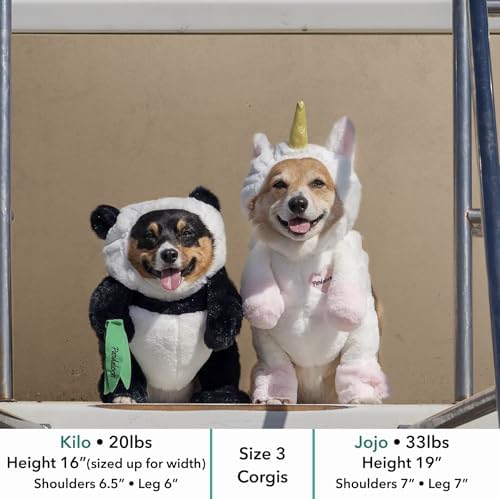 Pandaloon Dog Halloween Costume - As Seen on Shark Tank - Patented - Funny Costume with Arms for Small and Medium Dogs and Cats (Panda, Size 4(20-23 in Height at TOP of Head,Girth<27 in)) - Image 3