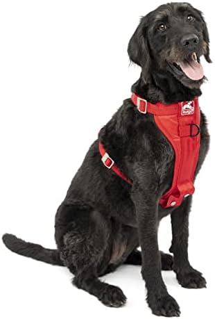 Kurgo Enhanced Strength Tru-Fit Dog Car Harness - Crash Tested for Safety - Broad Chest Plate - All Steel Nested Buckles - Includes Seatbelt Tether - Red - Large by Kurgo