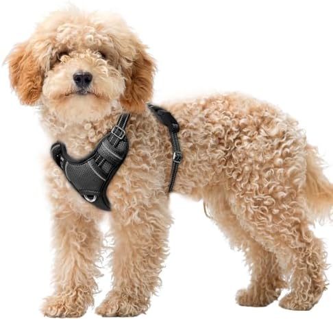 BARKBAY Dog Harness for Small Sized Dog No Pull Dog Vest ID Tag Pocket by BARKBAY