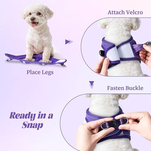No Pull Dog Puppy Harness and Leash Set Reflective Mesh Vest XX-Small - Image 4