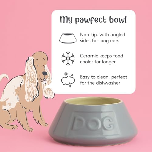 Mason Cash Non-Tip Dog Bowl - 54oz Grey Ceramic Angled Pet Food Water Dish - Image 4