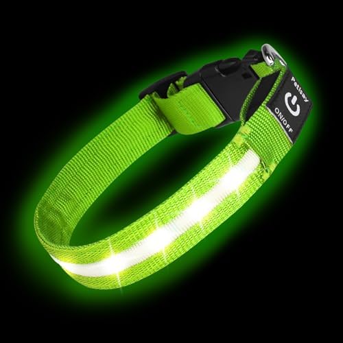 Super Bright LED Dog Collar, Waterproof Light up Collars(Green, Large) by PetIsay