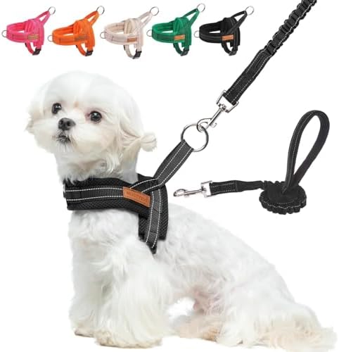 BEAUTYZOO Small Dog Harness and Leash Set, No Pull Step in Puppy Vest by BEAUTYZOO