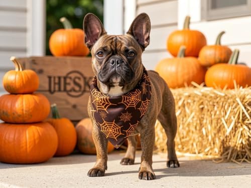 Fall Dog Bandanas 2PCS Halloween Pumpkin Spider Web Small Dog Cat - Image 6
