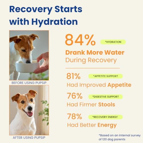 Dog Hydration Support – Helps During Stomach Upset, Vomiting & Diarrhea – Restores Appetite & Boost Energy with Electrolytes and Turkey Tail Mushroom, 14 Sticks - Image 3