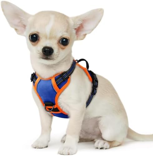 Eagloo Dog Harness for Small Dogs, No Pull Pet Vest with 2 Leash Clips by GoExplorewithEagloo