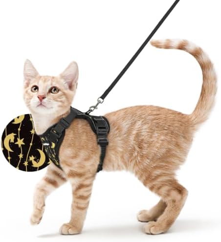 rabbitgoo Cat Harness and Leash Set, Escape Proof Vest, Lunar Prowl by rabbitgoo