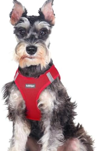 rabbitgoo Step-in Small Dog Harness, Puppy Vest for Medium Sized Pet by rabbitgoo