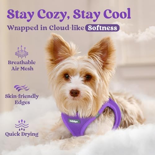 rabbitgoo Step-in Small Dog Harness, Puppy Vest for Small Sized Pet - Image 3