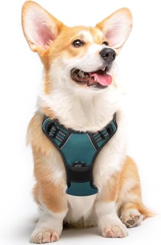 Eagloo Dog Harness for Medium Sized Dogs, No Pull Vest with 2 Leash Clips by GoExplorewithEagloo